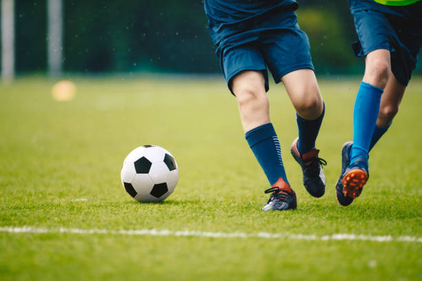 并非简