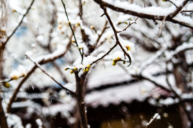 负晋级广东