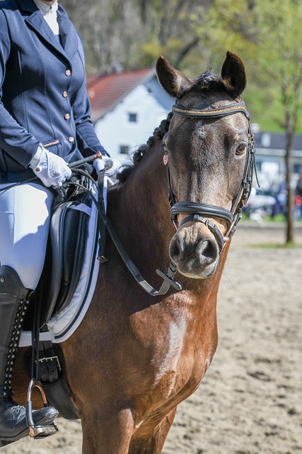 首届中国中学生射箭锦标赛首站落幕