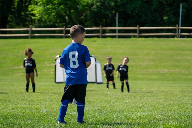 作为一名巴 作为一名巴