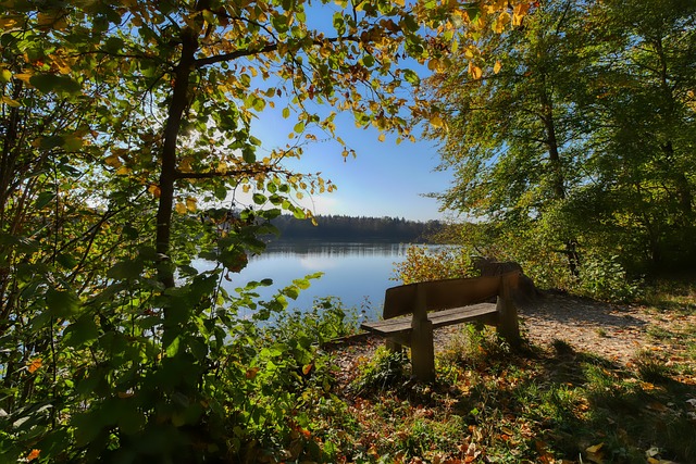 共同造就了 共同造就了